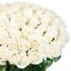 Букет из 101 белой розы (60 см)