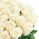 Букет из 51 белой розы Премиум (80 см)