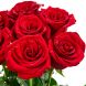 Букет из 7 красных роз Премиум (80 см)
