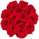 Букет из 11 красных роз Премиум (80 см)
