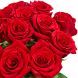 Букет из 15 красных роз Премиум (80 см)