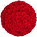 Букет из 101 красной розы Премиум (80 см)