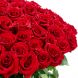 Букет из 101 красной розы Премиум (80 см)