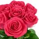 Букет из 7 розовых роз Премиум (80 см)
