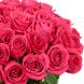 Букет из 51 розовой розы Премиум (80 см)