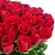 Букет из 51 красной розы Кения