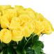 Букет из 51 желтой   розы (60 см)