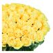 Букет из 101 желтой  розы (60 см)