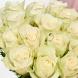 Букет 15 белых кенийских роз