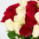 Букет 25 белых и красных роз Кения