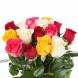 Букет из 15 разноцветных роз Кения