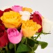 Букет из 25 разноцветных роз Кения