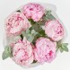 Букет из 5 нежно-розовых пионов