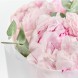 Букет из 5 нежно-розовых пионов