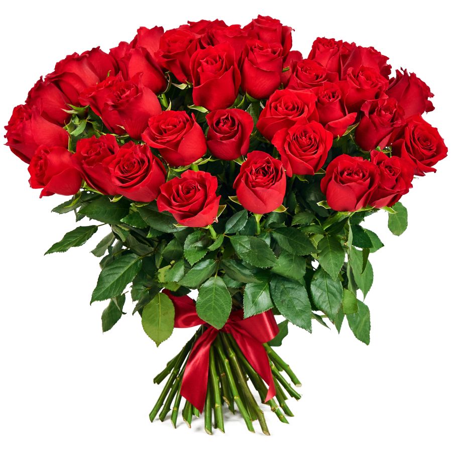 Букет из 51 красной розы (60 см)