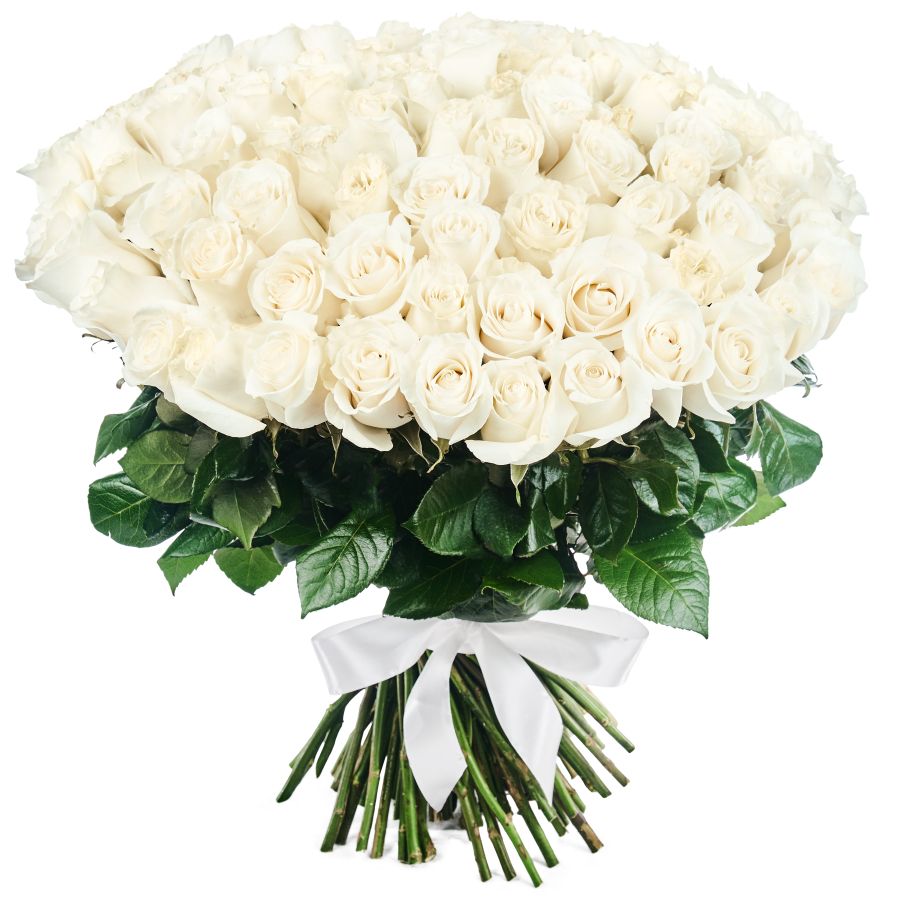 Букет из 101 белой розы (60 см)