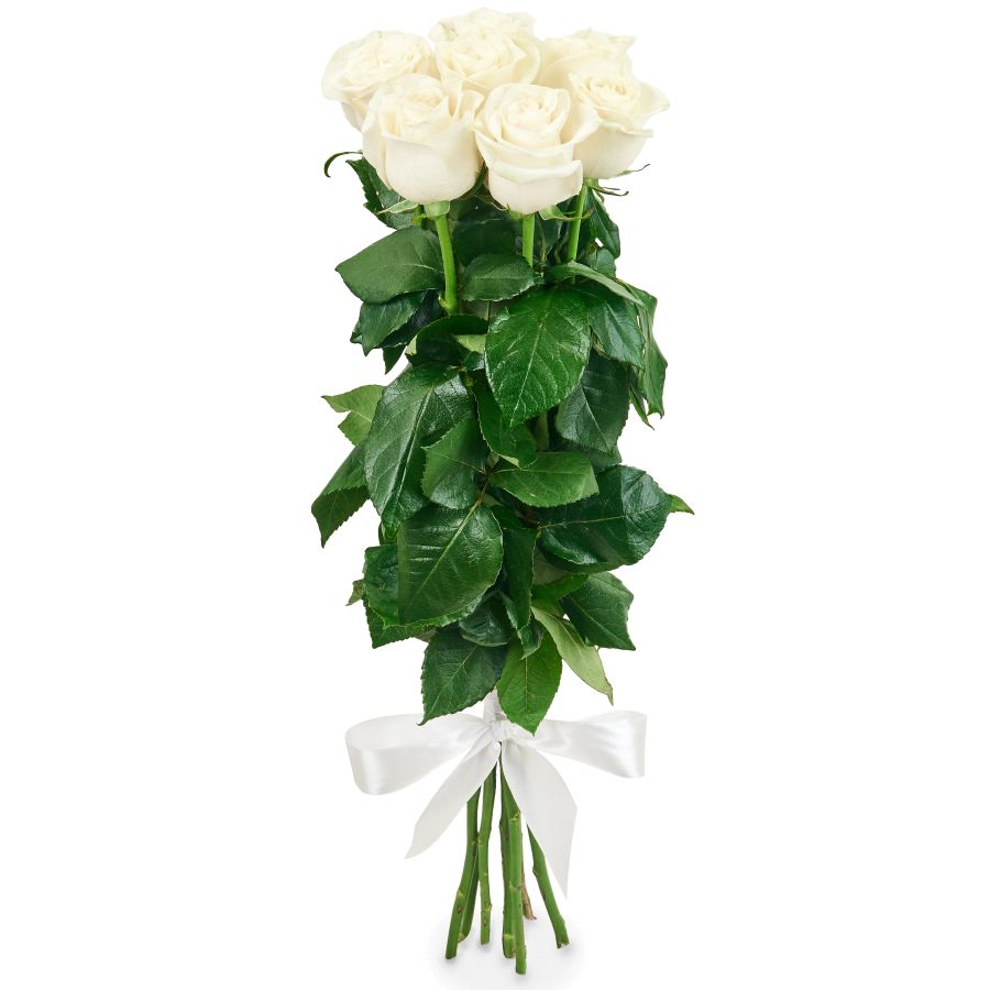 Букет из 7 белых роз Премиум (80 см)