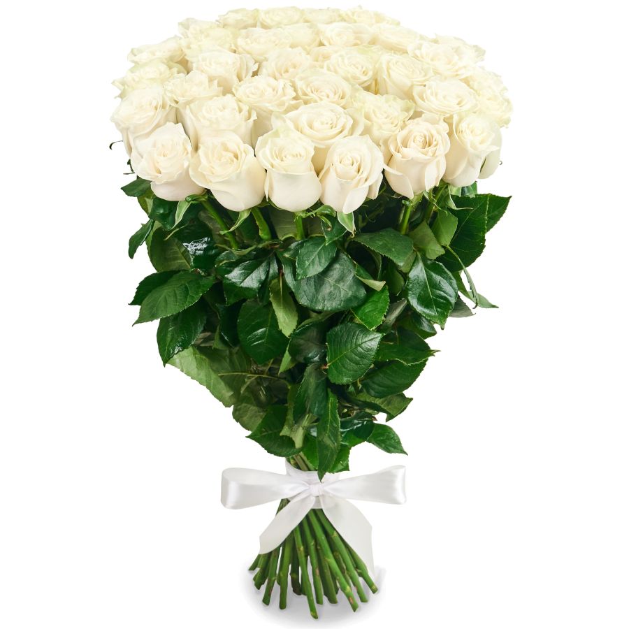 Букет из 35 белых роз Премиум (80 см)