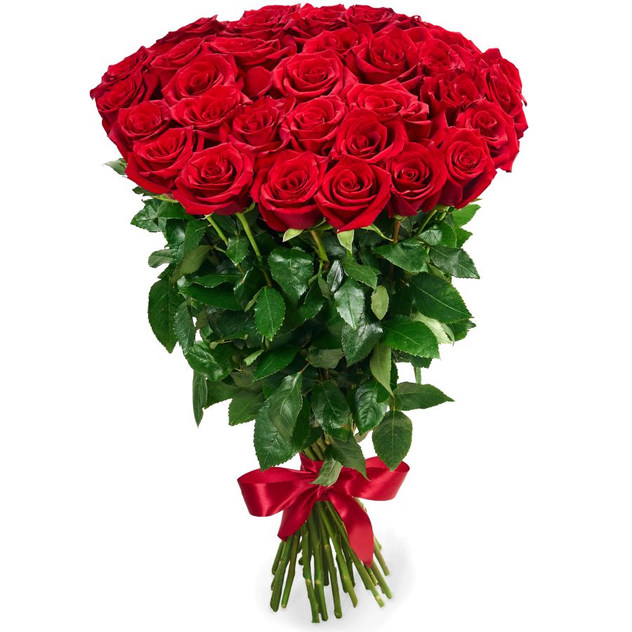 Букет из 35 красных роз Премиум (80 см)