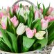Букет тюльпанов в корзине Нежная весна