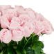 Розовые розы в букете Румянец (60 см)