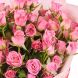 Букет розовых кустовых  роз Барби