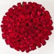 101 красная роза Кения в шляпной коробке