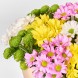 Букет из разноцветных хризантем Гламур