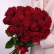 Букет пионовидная красная роза Романс [60 см]