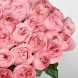 Букет из розовых пионовидных роз Шарм