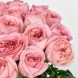 Букет из розовых пионовидных роз Шарм