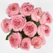 Букет из розовых пионовидных роз Шарм