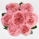 Букет из розовых пионовидных роз Шарм