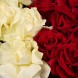 Красно-белый букет французских роз Контрастные чувства