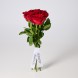 Букет красных кенийских роз