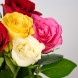 Букет разноцветных кенийских роз