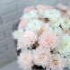 Букет на 1 сентября Встреча с мечтой