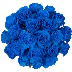 Букет классических синих роз [60 см]