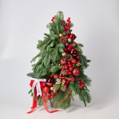 Елка "Волшебные мгновения"