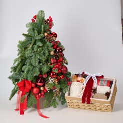 Подарочный набор &laquo;Праздничное настроение&raquo;