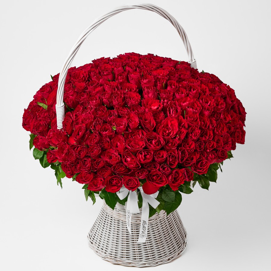 301 красная роза в большой корзине плетенной