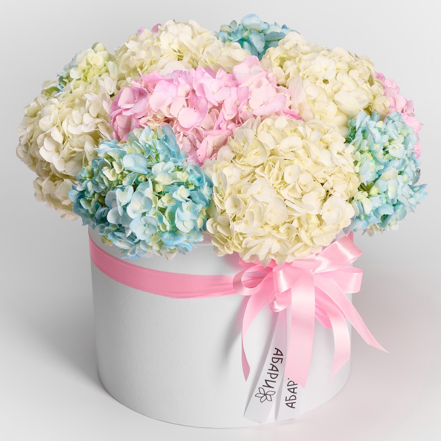 Объемный букет из гортензий в коробке