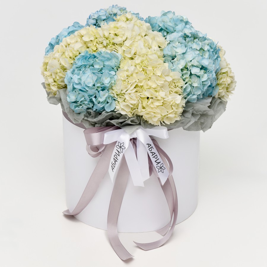 Цветы в коробке из гортензии Лазурь